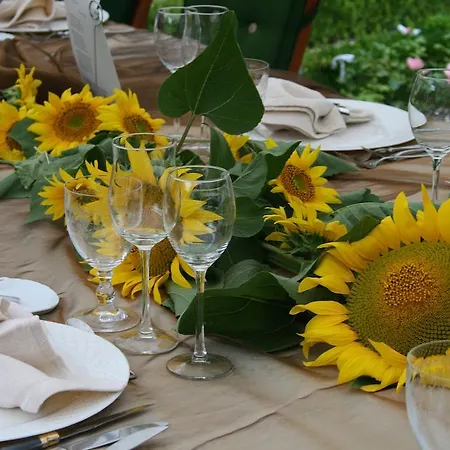 Bed & Breakfast Rozies